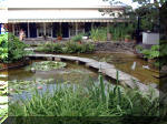 Le jardin aquatique de rêve du Condroz - Printemps 2003 8  6 