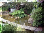 Le jardin aquatique de rêve du Condroz - Printemps 2003 8  9 