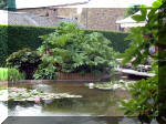 Le jardin aquatique de rêve du Condroz - Printemps 2003 8  23 