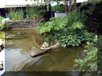 Le jardin aquatique de rêve du Condroz - Printemps 2003 8  21 