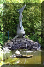 Le jardin aquatique de rve du Condroz - Printemps 2004 9  4 