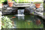 Le jardin aquatique de rve du Condroz - Printemps 2004 9  5 