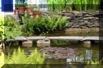 Le jardin aquatique de rve du Condroz - Printemps 2004 9  15 
