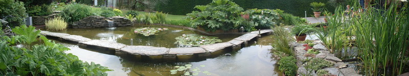 Le jardin aquatique de rêve du Condroz - Printemps 2003  1 