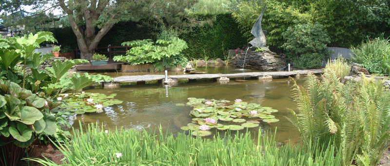 Le jardin aquatique de rêve du Condroz - Printemps 2004 10  1 