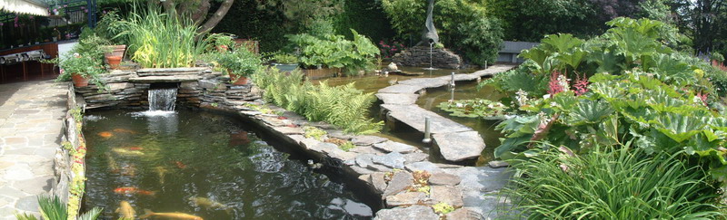 Le jardin aquatique de rêve du Condroz - Printemps 2003 6  1 