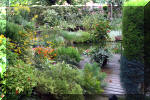 Jardins aquatiques de rve en ville 2  20 