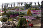 Un bassin de jardin de rve au printemps   9 