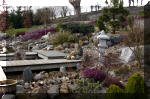 Un bassin de jardin de rve au printemps   16 