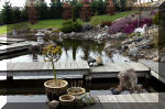 Un bassin de jardin de rve au printemps   19 