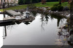 Un bassin de jardin de rve au printemps   24 