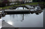 Un bassin de jardin de rve au printemps   25 