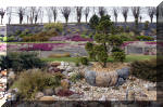 Un bassin de jardin de rve au printemps   30 