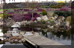 Un bassin de jardin de rve au printemps   33 