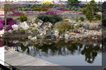 Un bassin de jardin de rve au printemps   34 