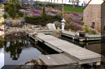 Un bassin de jardin de rve au printemps   26 