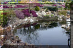 Un bassin de jardin de rve au printemps   39 