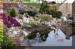 Un bassin de jardin de rve au printemps   44 