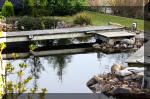 Un bassin de jardin de rve au printemps   53 