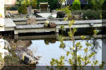 Un bassin de jardin de rve au printemps   54 