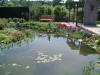 Le jardin aquatique de Scoubidou 2  33 