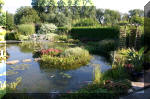 Le jardin aquatique de Scoubidou automne 2005  36 