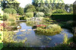 Le jardin aquatique de Scoubidou automne 2005  35 