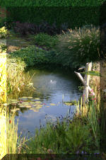 Le jardin aquatique de Scoubidou automne 2005  30 