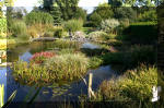 Le jardin aquatique de Scoubidou automne 2005  27 