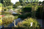 Le jardin aquatique de Scoubidou automne 2005  26 