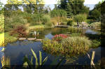 Le jardin aquatique de Scoubidou automne 2005  24 