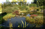 Le jardin aquatique de Scoubidou automne 2005  23 