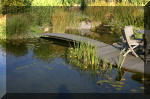 Le jardin aquatique de Scoubidou automne 2005  17 