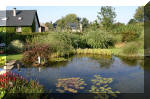 Le jardin aquatique de Scoubidou automne 2005  10 