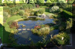 Le jardin aquatique de Scoubidou automne 2005  2 