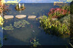 Le jardin aquatique de Scoubidou automne 2005  32 