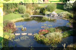 Le jardin aquatique de Scoubidou automne 2005  30 