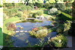 Le jardin aquatique de Scoubidou automne 2005  29 