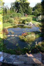 Le jardin aquatique de Scoubidou automne 2005  36 