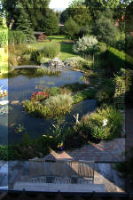 Le jardin aquatique de Scoubidou automne 2005  33 