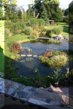 Le jardin aquatique de Scoubidou automne 2005  27 