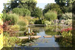 Le jardin aquatique de Scoubidou automne 2005  16 