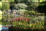 Le jardin aquatique de Scoubidou automne 2005  11 