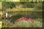 Le jardin aquatique de Scoubidou automne 2005  8 