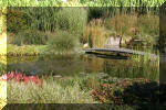 Le jardin aquatique de Scoubidou automne 2005  7 