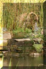 Le jardin aquatique de Scoubidou automne 2005  4 