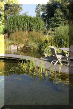 Le jardin aquatique de Scoubidou automne 2005  20 