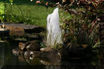 Le jardin aquatique de Scoubidou automne 2005  13 