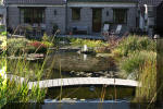 Le jardin aquatique de Scoubidou automne 2005  3 