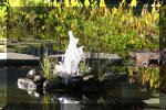 Le jardin aquatique de Scoubidou automne 2005  34 